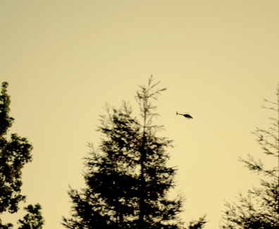 Screen Shot 2016-04-21 at 1.01.09 AM